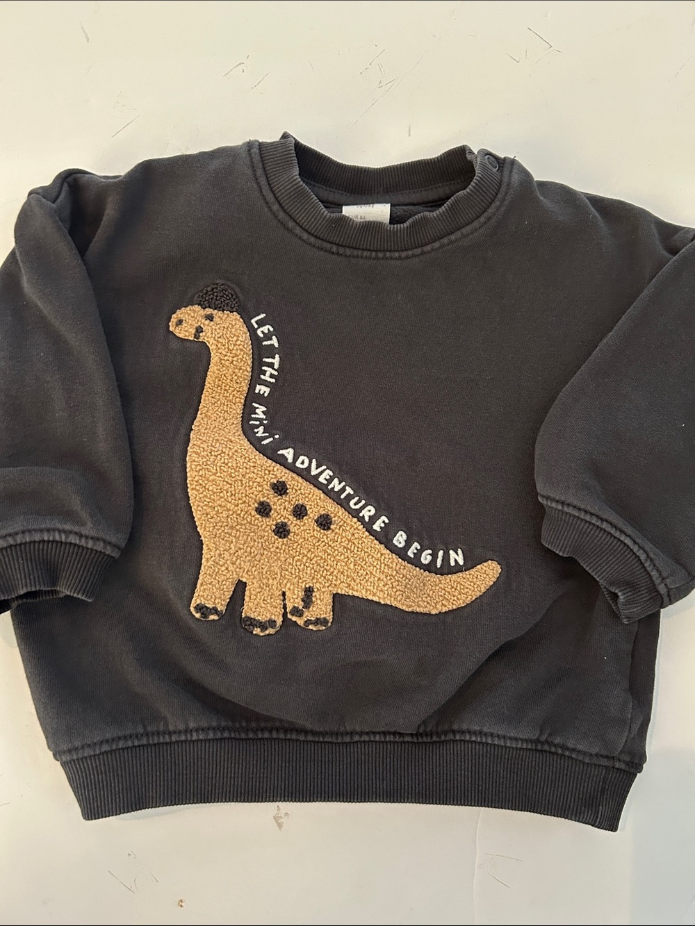 H&M Sweatshirt with Dinosaur Appliqué let the mini adventure begin 18m